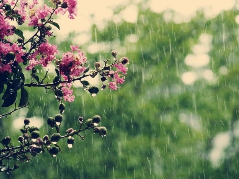 Оперативный прогноз погоды на 17 апреля.