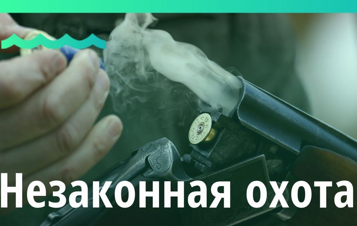 Напоминаем гражданам об ответственности за незаконную охоту.