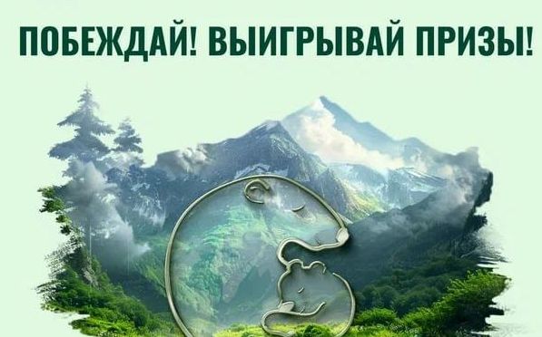 Премия «Экология – дело каждого».
