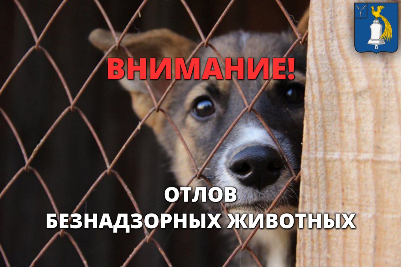 Уважаемые жители р.п. Татищево!.