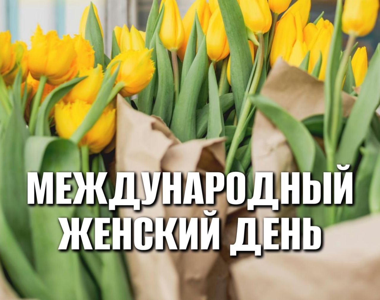 Поздравление главы Татищевского муниципального района А.В. Мордвинцева с 8 марта.