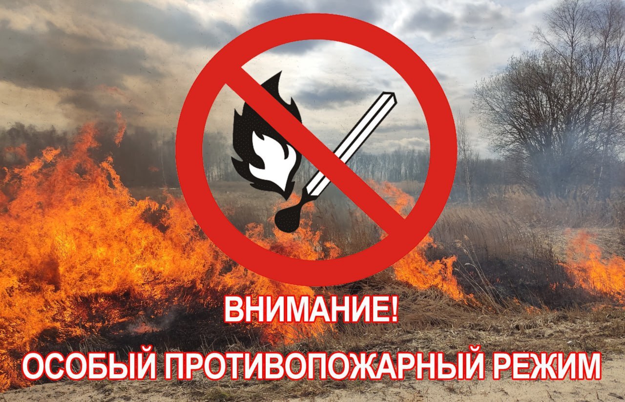 НАПОМИНАЕМ!! На землях лесного фонда Саратовской области с 18 апреля по 31 октября 2025 года установлен особый противопожарный режим.