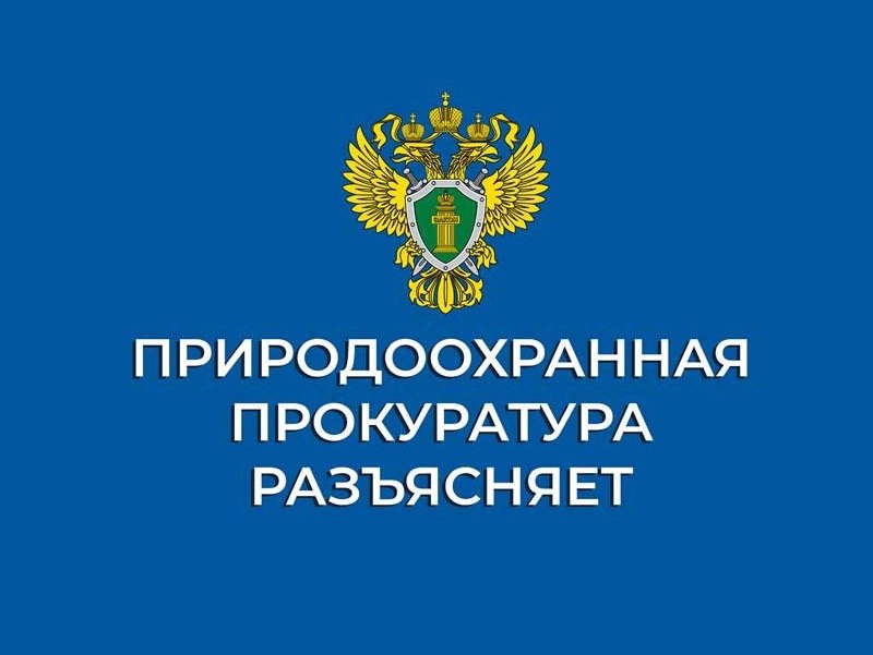 Саратовская межрайонная природоохранная прокуратура разъясняет законодательство об ответственном обращении с животными.