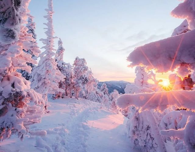 Оперативный прогноз погоды 24 февраля 2025 года.