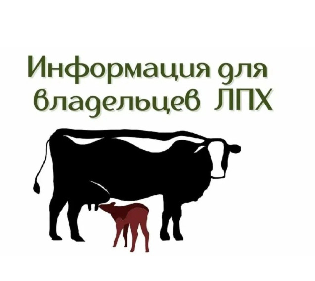 Выборочное наблюдение за сельскохозяйственной деятельностью личных подсобных хозяйств граждан на территории Татищевского муниципального района!. Выборочное наблюдение за сельскохозяйственной деятельностью личных подсобных хозяйств граждан на территории Татищевского муниципального района!.